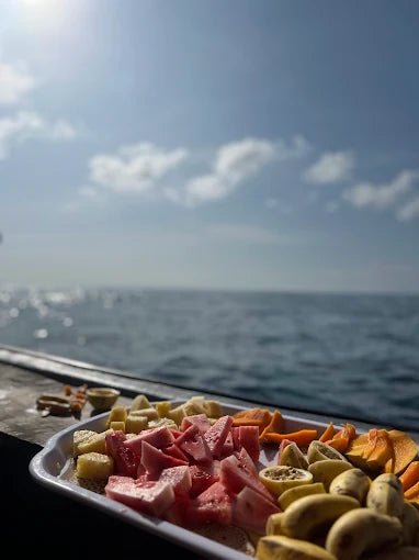 Zanzibar: Mnemba Island Dolphin and Snorkeling Boat Tour with Hotel Pickup