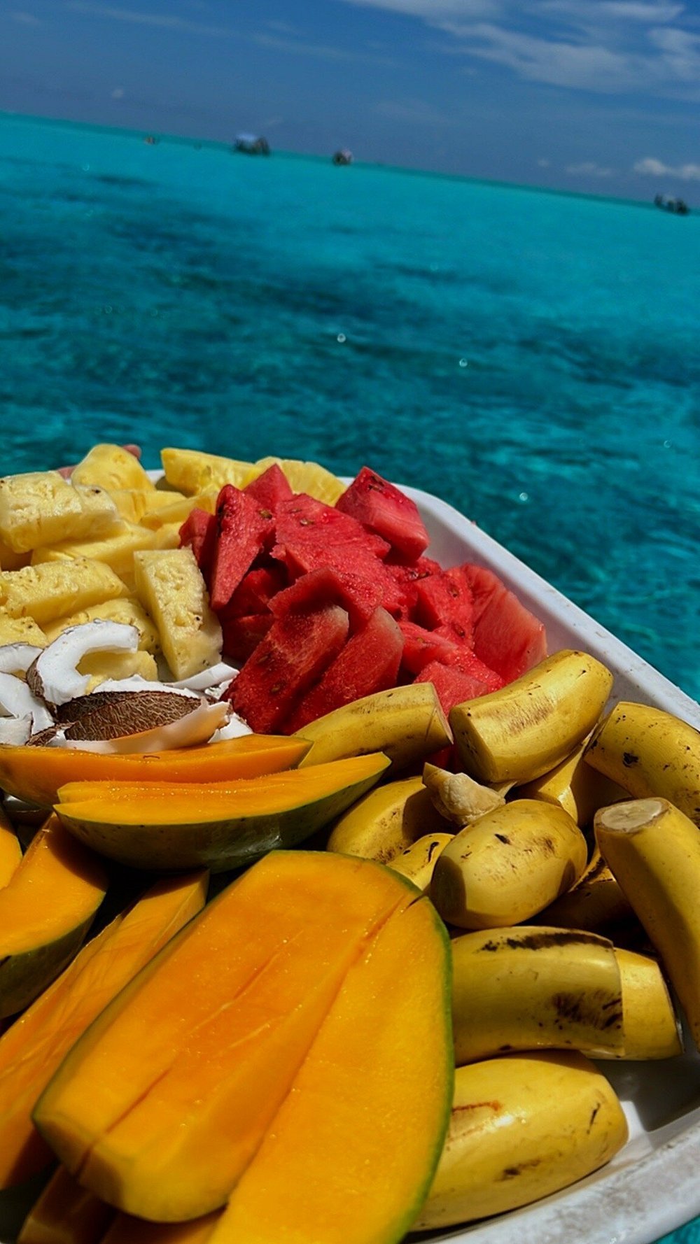 Zanzibar: Mnemba Island Dolphin Swim and Snorkeling Tour from Nungwi