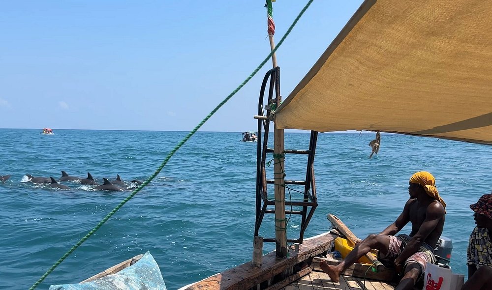 Zanzibar: Mnemba Island Dolphin Swim and Snorkeling Tour from Nungwi