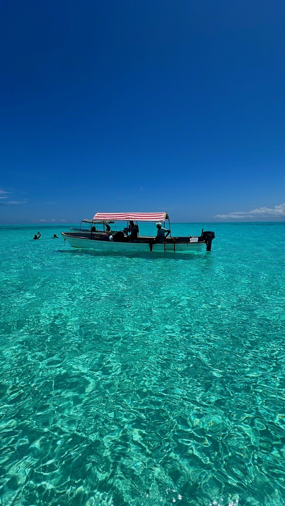 Zanzibar: Mnemba Island Dolphin Swim and Snorkeling Tour from Nungwi