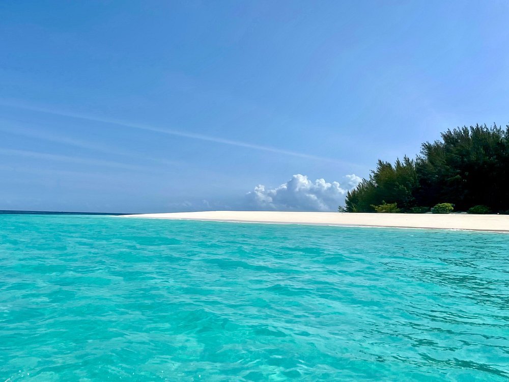 Zanzibar: Mnemba Island Dolphin Swim and Snorkeling Tour from Nungwi
