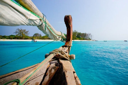 Zanzibar: Mnemba Island Dolphin Swim, Snorkeling, and Sandbank Picnic Trip