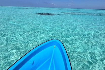 Zanzibar: Mnemba Island Dolphin Swim, Snorkeling, and Sandbank Picnic Trip