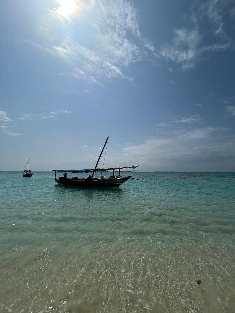 Zanzibar: Mnemba Island Dolphin Swim, Snorkeling, and Sandbank Picnic Trip