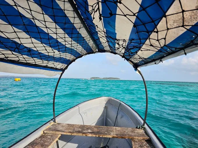 Zanzibar: Mnemba Island Dolphin Swim, Snorkeling and Seafood Lunch Tour