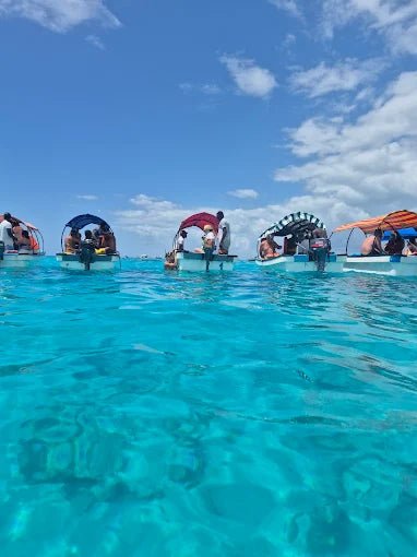 Zanzibar: Mnemba Island Dolphin Swim, Snorkeling and Seafood Lunch Tour