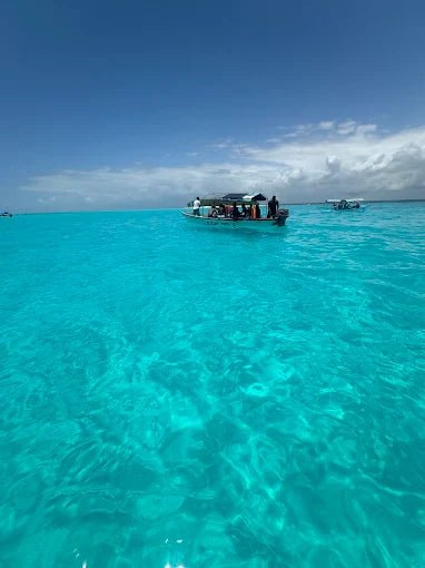 Zanzibar: Mnemba Island Dolphin Swim, Snorkeling and Seafood Lunch Tour