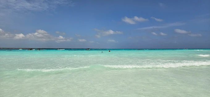 Zanzibar: Mnemba Island Dolphin Swim, Snorkeling and Seafood Lunch Tour