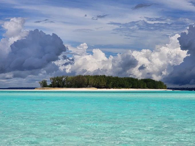 Zanzibar: Mnemba Island Dolphin Watching and Snorkeling Tour with Sandbank Stop