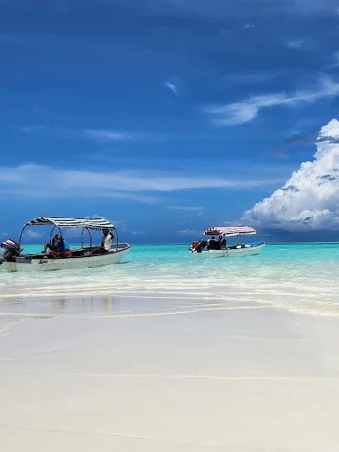 Zanzibar: Mnemba Island Dolphin Watching and Snorkeling Tour with Seafood Lunch