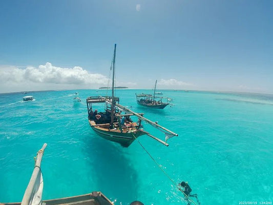 Zanzibar: Mnemba Island Dolphin Watching and Snorkeling Tour with Seafood Lunch