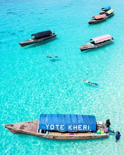 Zanzibar: Mnemba Island Dolphin Watching and Snorkeling Tour with Seafood Lunch