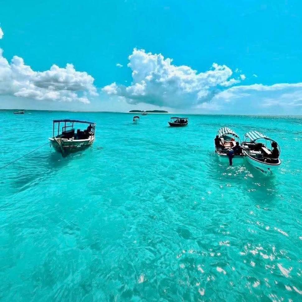 Zanzibar: Mnemba Island Snorkeling Adventure with Dolphin Encounter from Nungwi