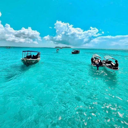 Zanzibar: Mnemba Island Snorkeling Adventure with Dolphin Encounter from Nungwi