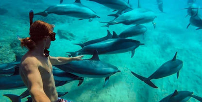 Zanzibar: Mnemba Island Snorkeling Adventure with Dolphin Encounter from Nungwi