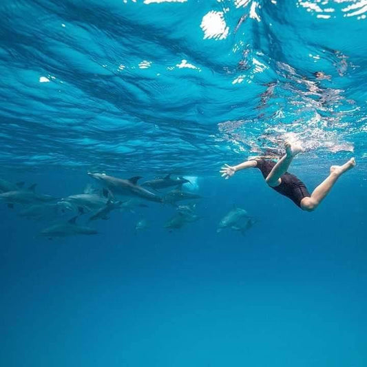 Zanzibar: Mnemba Island Snorkeling and Dolphin Tour from Kendwa Beach