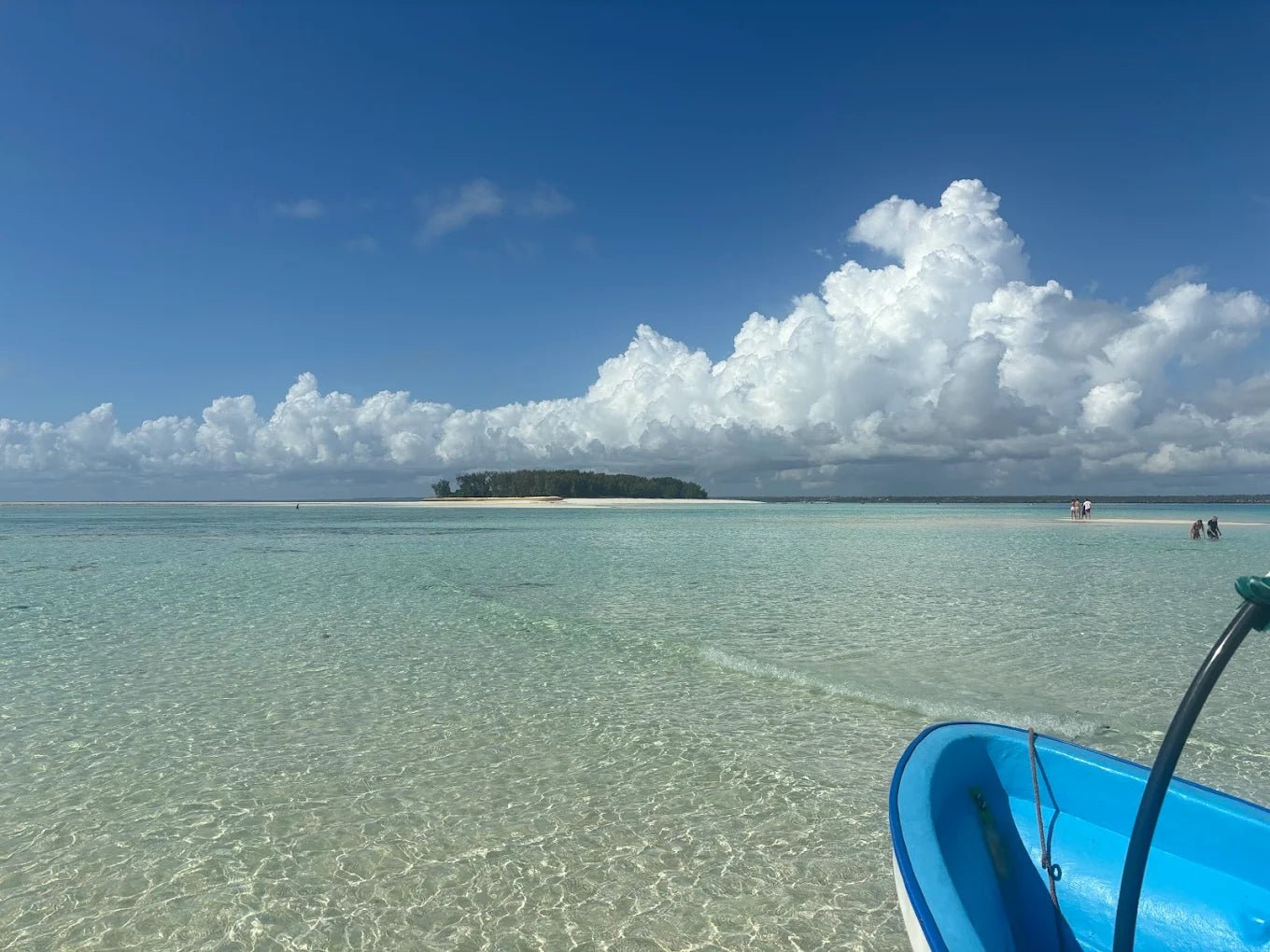 Zanzibar: Mnemba Island Snorkeling and Dolphin Tour from Nungwi or Kendwa