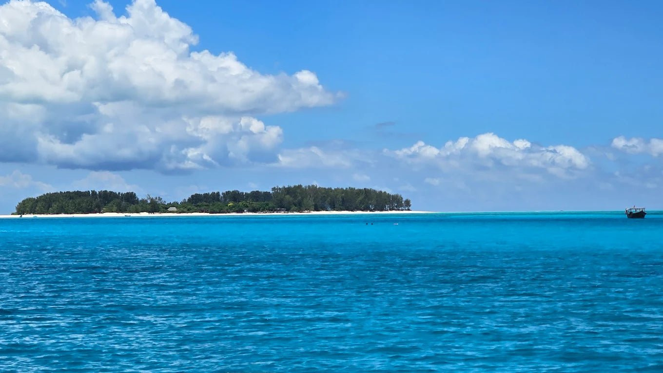 Zanzibar: Mnemba Island Snorkeling and Dolphin Tour from Nungwi or Kendwa