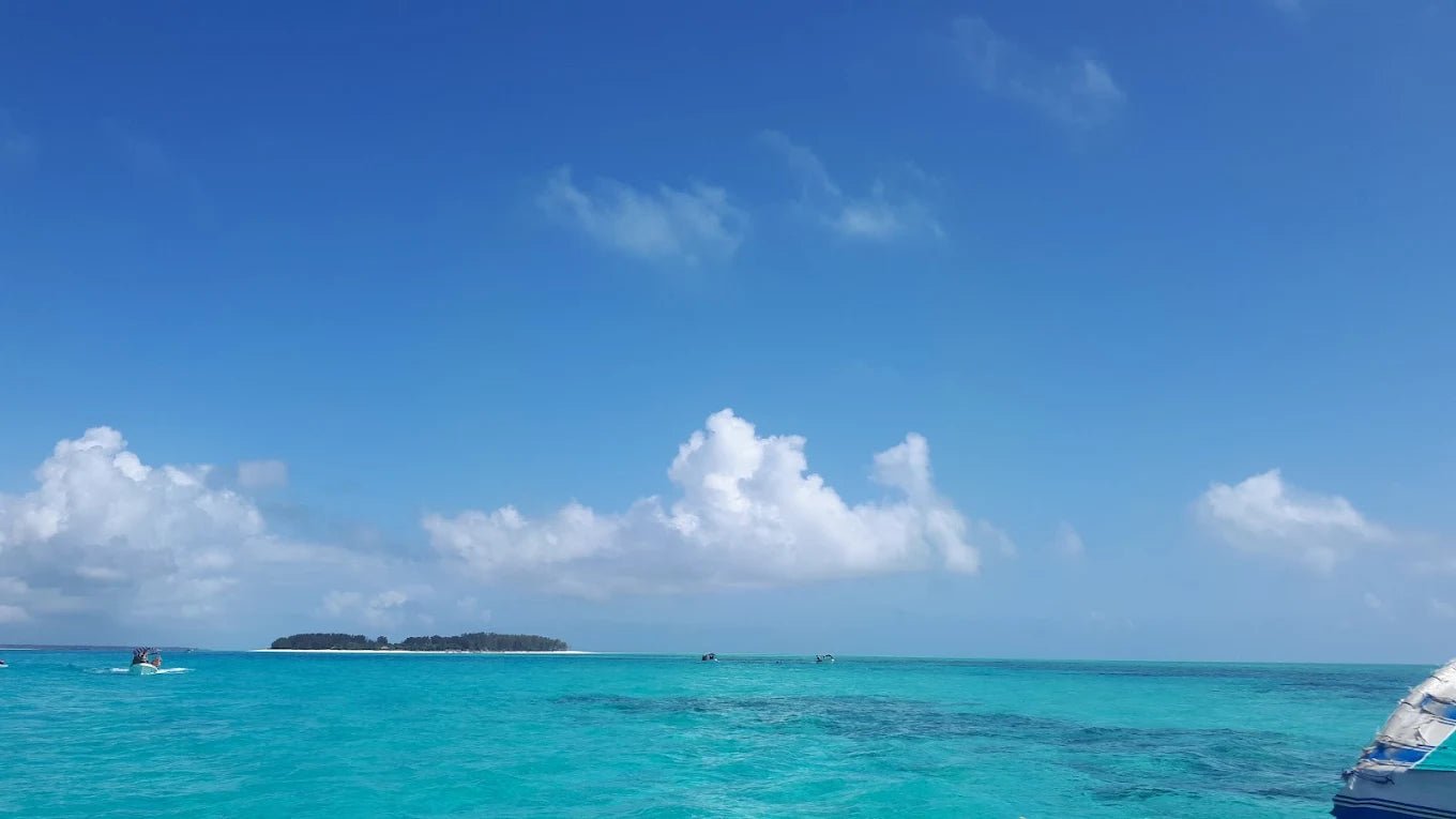 Zanzibar: Mnemba Island Snorkeling and Dolphin Tour from Nungwi or Kendwa