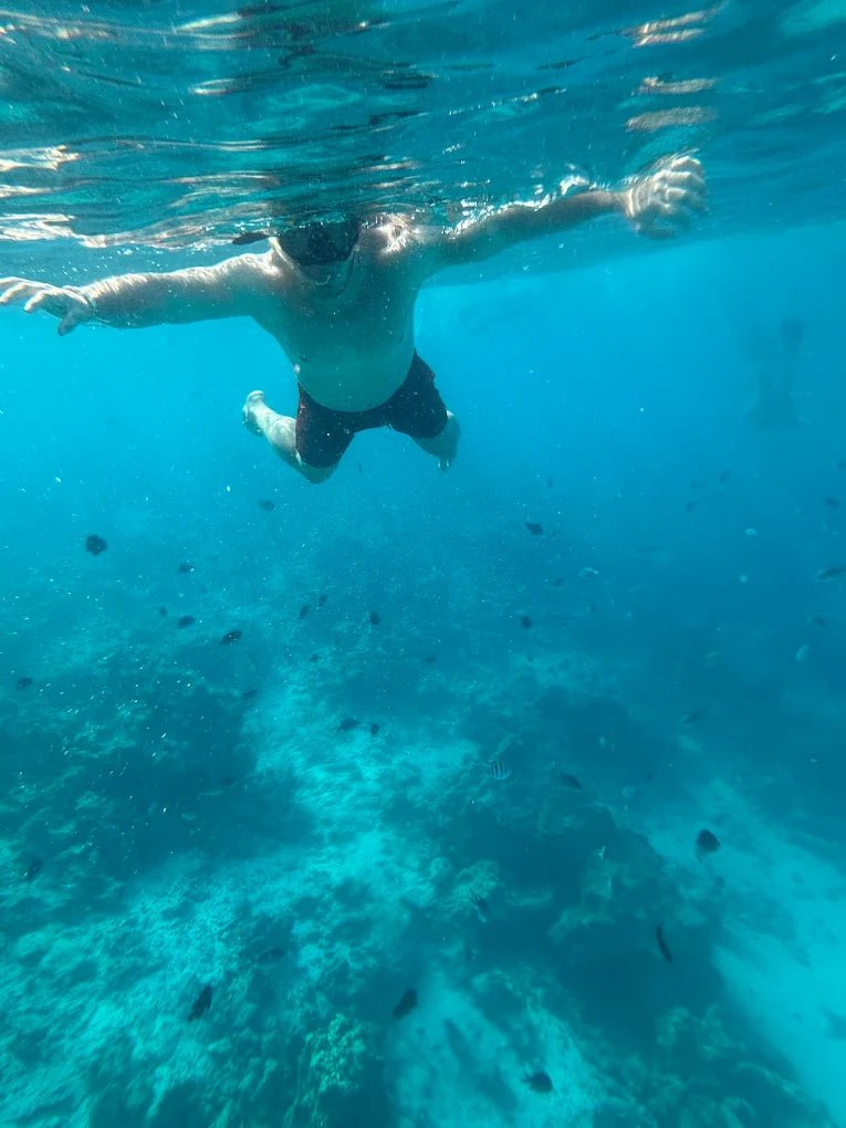 Zanzibar: Mnemba Island Snorkeling and Dolphin Tour from Nungwi or Kendwa