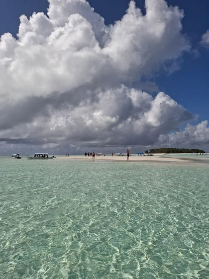Zanzibar: Mnemba Island Snorkeling and Dolphin Tour from Nungwi or Kendwa