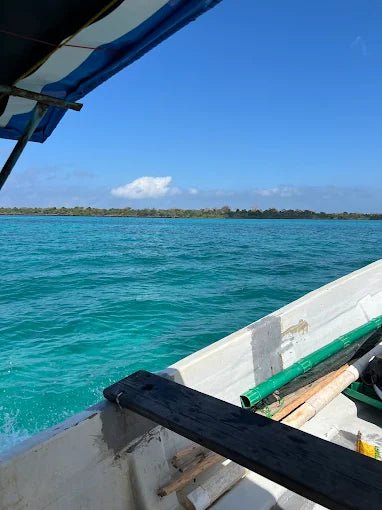 Zanzibar: Mnemba Island Snorkeling and Dolphin Watching Day Tour