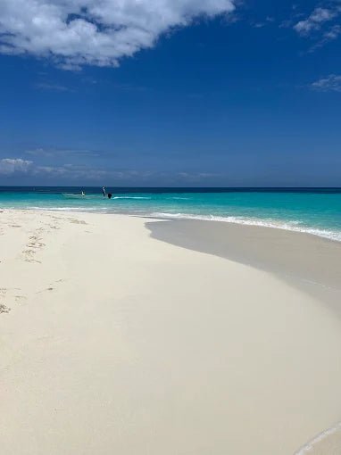 Zanzibar: Mnemba Island Snorkeling and Dolphin Watching Day Tour