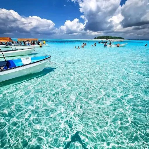 Zanzibar: Mnemba Island Snorkeling and Dolphin Watching Day Tour