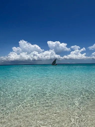 Zanzibar: Mnemba Island Snorkeling and Dolphin Watching Day Tour