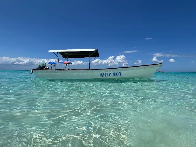 Zanzibar: Mnemba Island Snorkeling and Dolphin Watching Day Tour