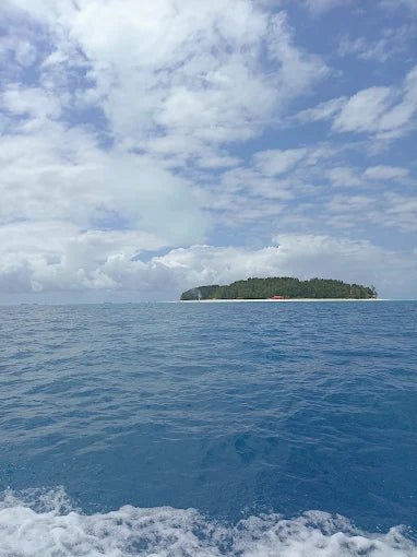Zanzibar: Mnemba Island Snorkeling and Dolphin Watching Day Tour