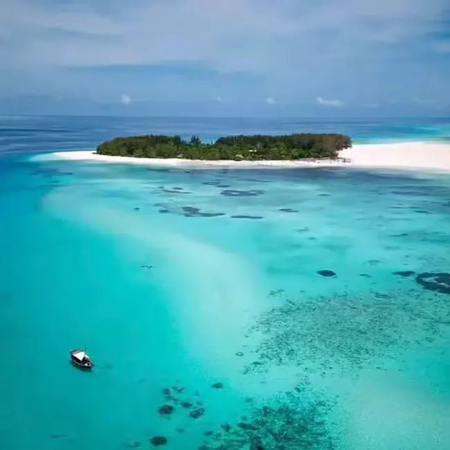 Zanzibar: Mnemba Island Snorkeling and Dolphin Watching Day Tour