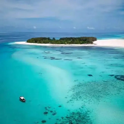 Zanzibar: Mnemba Island Snorkeling and Dolphin Watching Day Tour