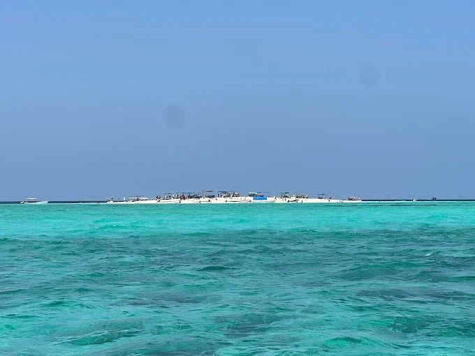 Zanzibar: Mnemba Island Snorkeling and Dolphin Watching Day Tour