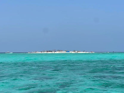 Zanzibar: Mnemba Island Snorkeling and Dolphin Watching Day Tour