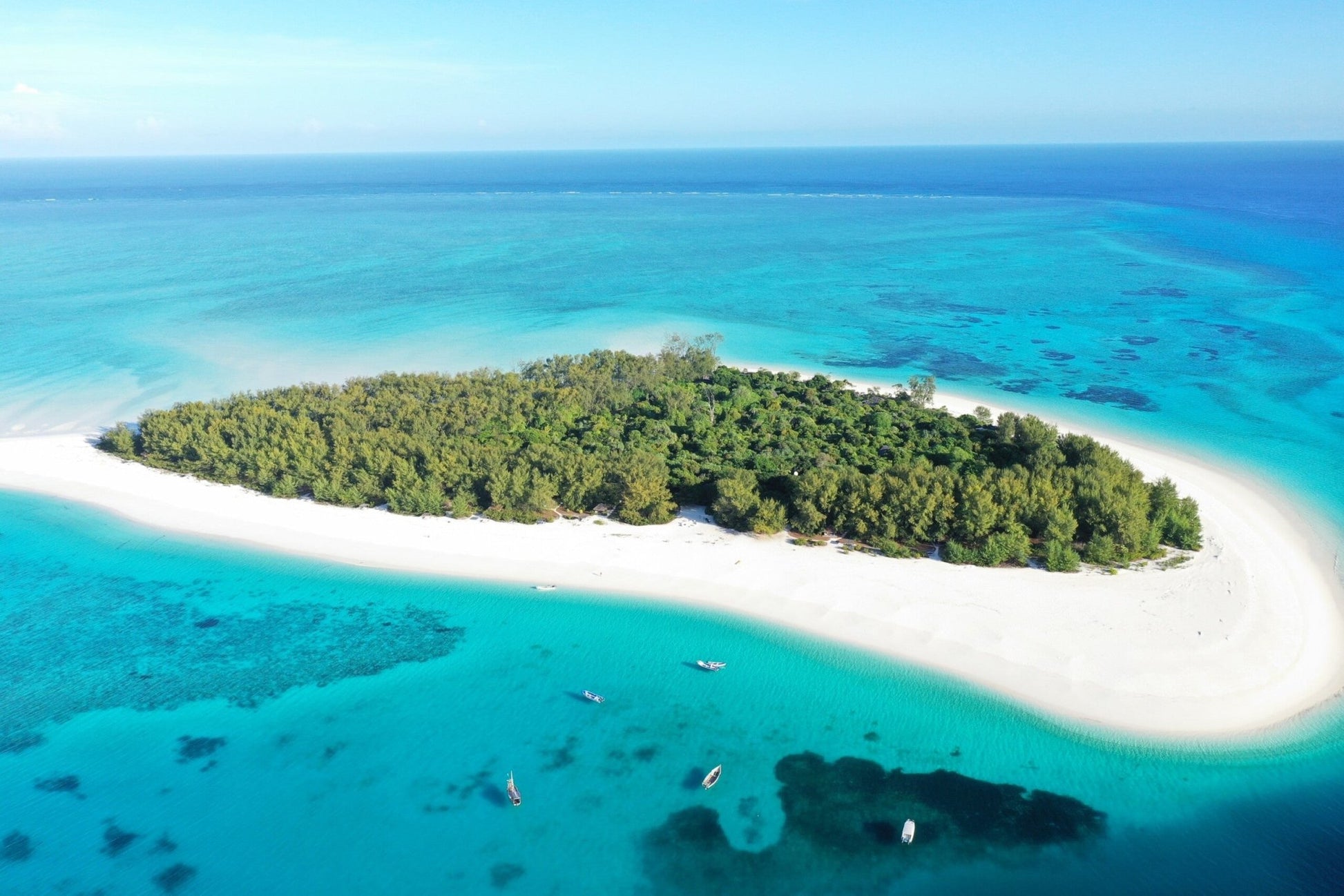 Zanzibar: Mnemba Island Snorkeling and Dolphin Watching Tour by Dhow Boat