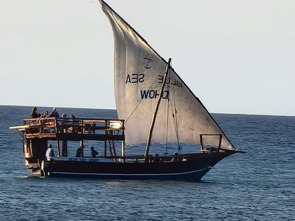 Zanzibar: Mnemba Island Snorkeling and Dolphin Watching Tour by Dhow Boat