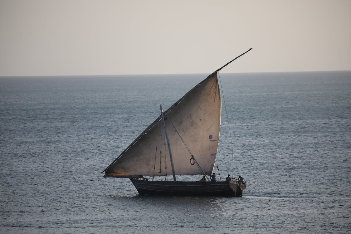 Zanzibar: Mnemba Island Snorkeling and Dolphin Watching Tour by Dhow Boat