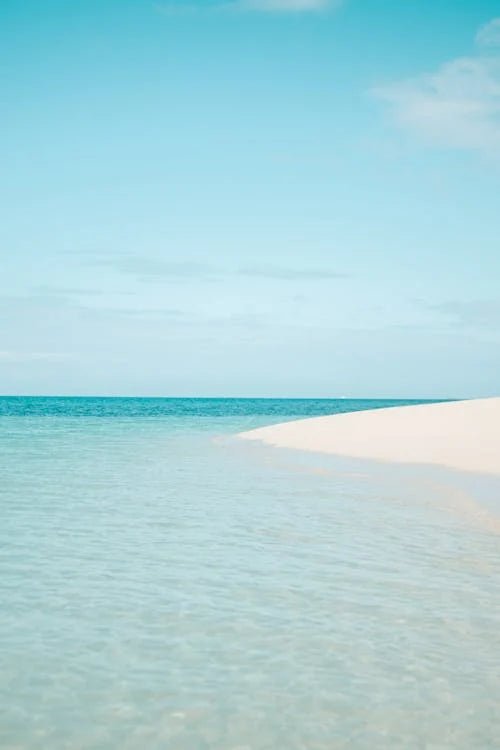 Zanzibar: Mnemba Island Snorkeling and Dolphin Watching Tour by Dhow Boat