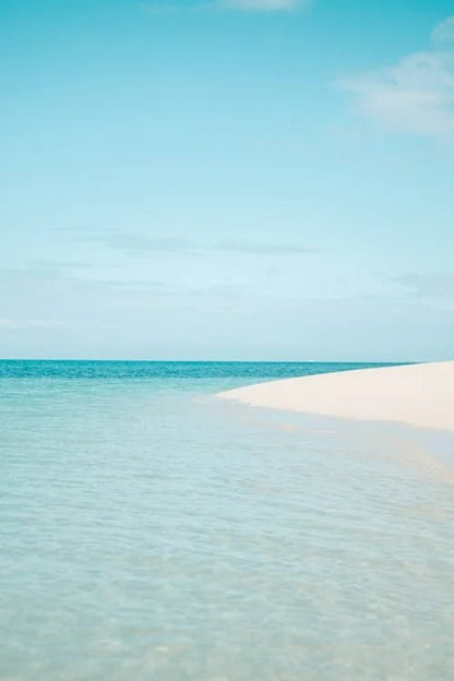 Zanzibar: Mnemba Island Snorkeling and Dolphin Watching Tour by Dhow Boat