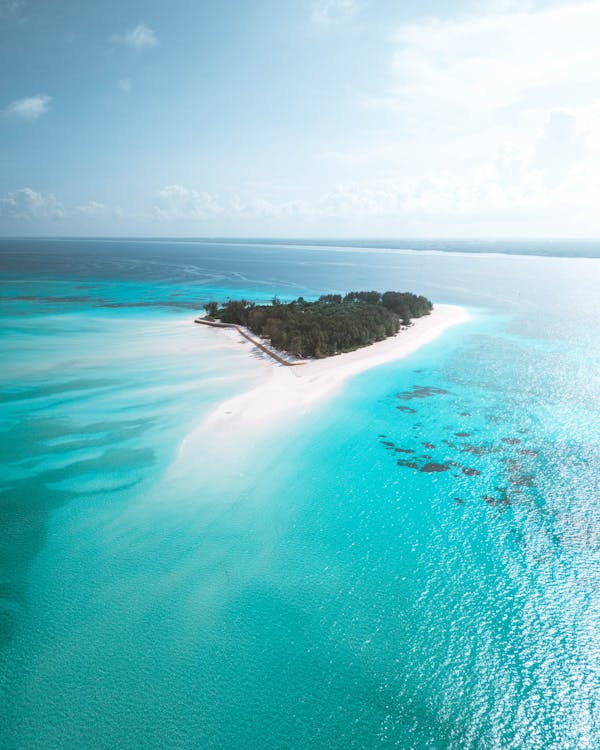 Zanzibar: Mnemba Island Snorkeling and Dolphin Watching Tour by Dhow Boat