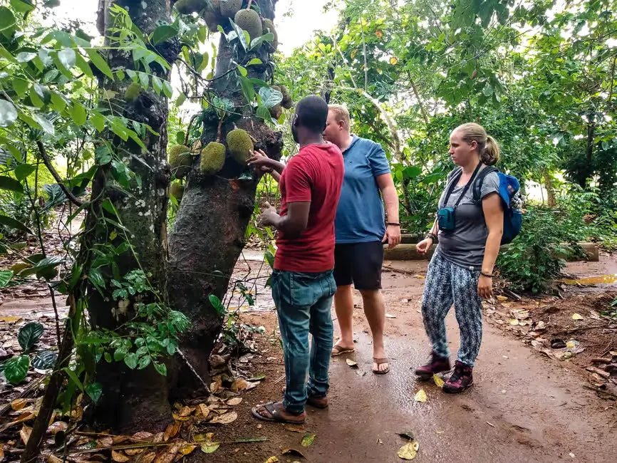 Zanzibar: Mnemba Island Snorkeling and Spice Farm Cultural Tour