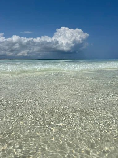 Zanzibar: Mnemba Island Snorkeling and Spice Farm Cultural Tour