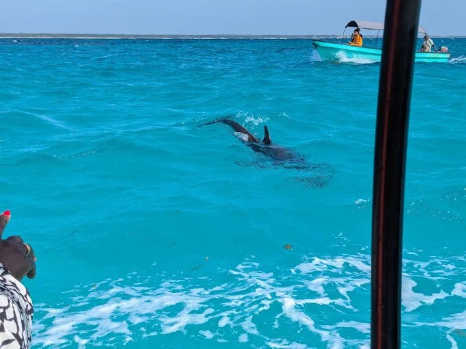 Zanzibar: Mnemba Island Snorkeling and Spice Farm Cultural Tour