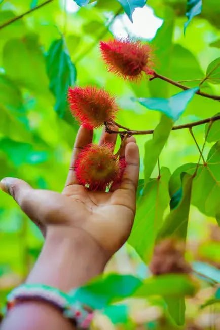 Zanzibar: Mnemba Island Snorkeling and Spice Farm Cultural Tour
