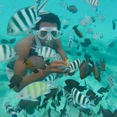Zanzibar: Mnemba Island Snorkeling and Swimming with Dolphins Tour