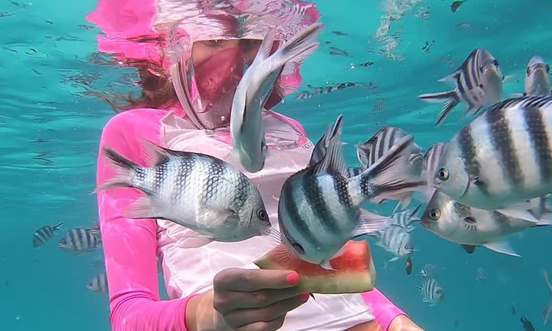 Zanzibar: Mnemba Island Snorkeling and Swimming with Dolphins Tour