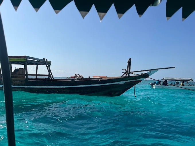 Zanzibar: Mnemba Island Snorkeling and Swimming with Dolphins Tour
