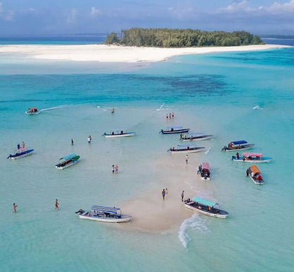 Zanzibar: Mnemba Island Snorkeling and Swimming with Dolphins Tour