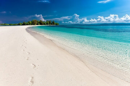 Zanzibar: Mnemba Island Snorkeling, Mnarani Turtles and Kendwa Beach Boat Trip
